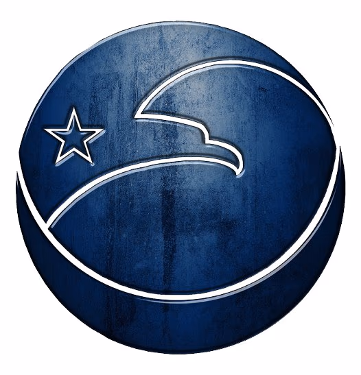 ALLTO BUSINESS INTL 